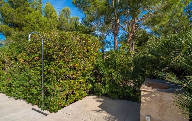 Orquidea 34 - Photo 40