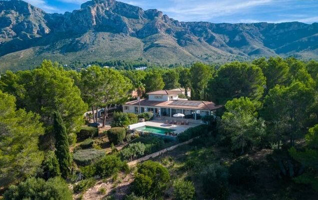 Orquidea 34 - Photo 47