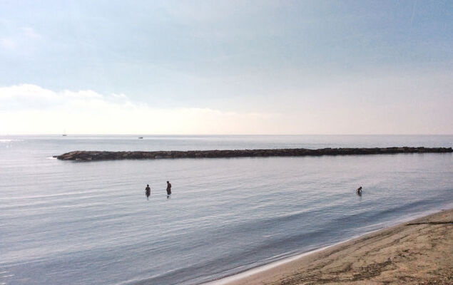 in the Garden - Photo 21