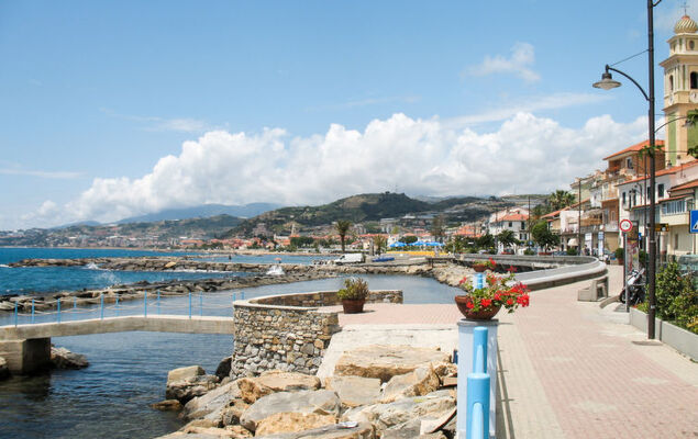 in the Garden - Photo 22