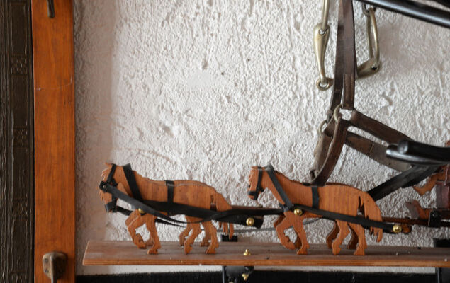 Berghof Hohe ganzes Haus - Photo 31