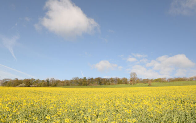 Berghof Hohe ganzes Haus - Photo 80