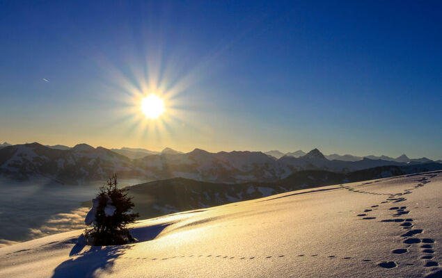 Alpine Qualitytime - Photo 61