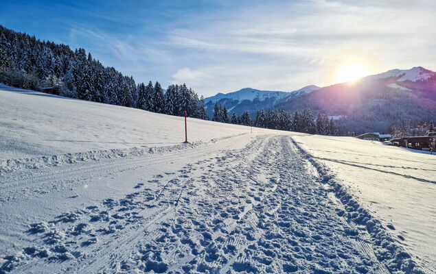 Alpine Qualitytime - Photo 82