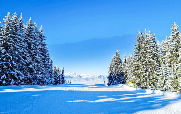 Alpine Qualitytime - Photo 85