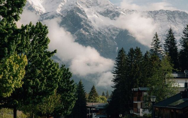 Sissis green Chalets - Photo 43