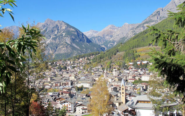 San Anton - Photo 26