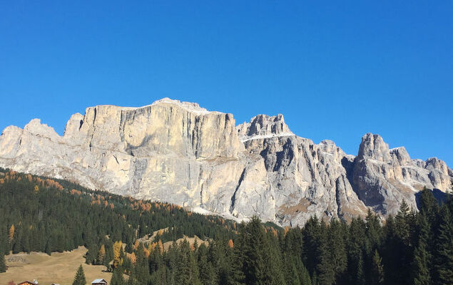 Cesa Galadriel - Photo 33