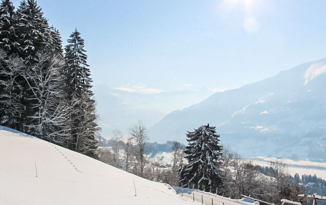 Ferienhof Sonnseitn - Photo 41