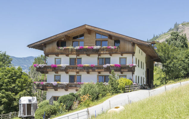 Ferienhof Sonnseitn - Photo 45